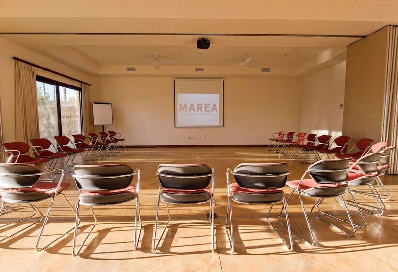 Fotos del hotel Marea La Paz:  4