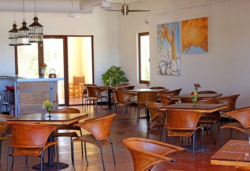 Fotos del hotel Marea La Paz:  2