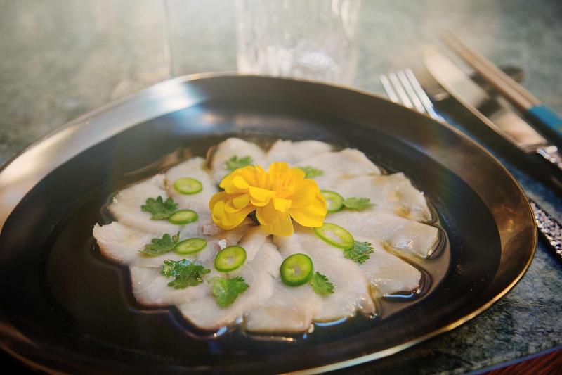 Fotos del hotel Tortue Hamburg:  21