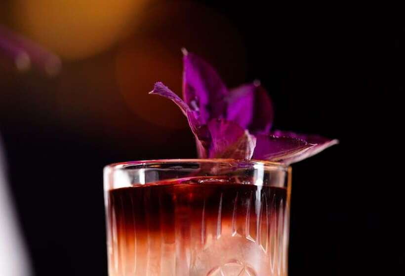 Fotos del hotel Tortue Hamburg:  14