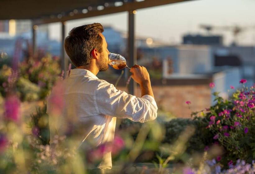 Fotos del hotel Tortue Hamburg:  15