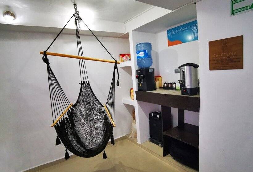 Fotos del hotel Mar Bohemio:  25