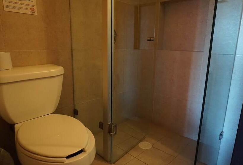 Fotos del hotel Mar Bohemio:  8