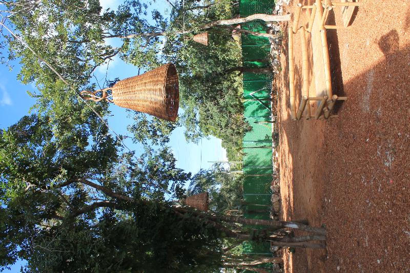 Fotos del hotel Axkan Tulum:  7