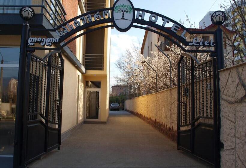 Fotos del hotel Liel:  15