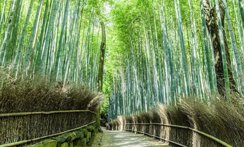 Fotos del hotel Mimaru Kyoto Horikawarokkaku:  18