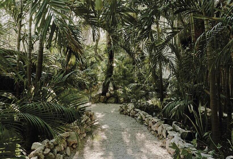 Fotos del hotel Una Vida:  11