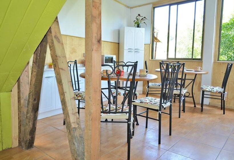 Fotos del hotel Hostal Destino Bellavista:  4