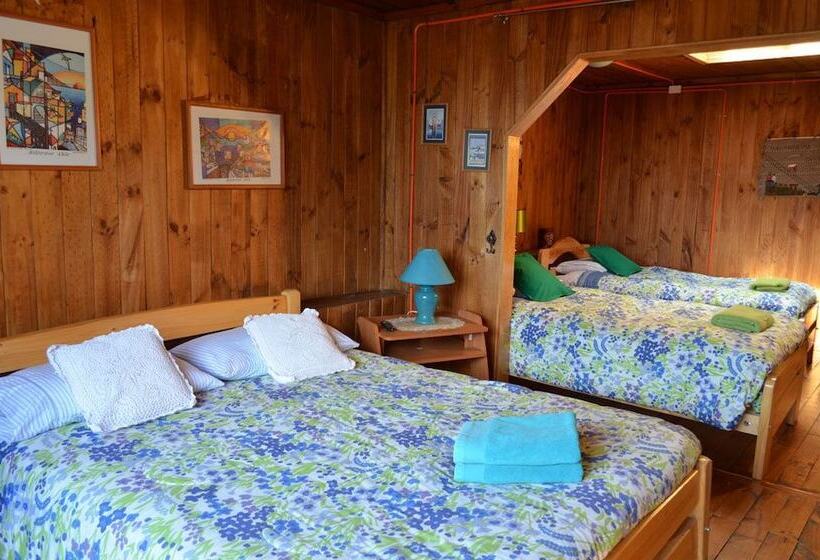 Fotos del hotel Hostal Destino Bellavista:  1