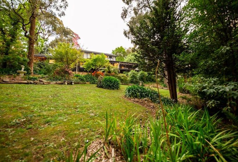 Fotos del hotel Holly Lodge:  18