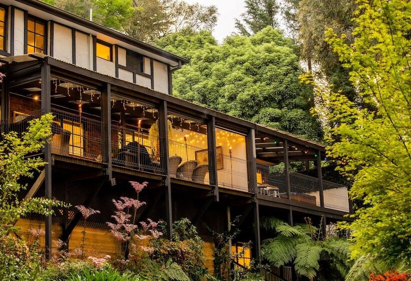 Fotos del hotel Holly Lodge:  21