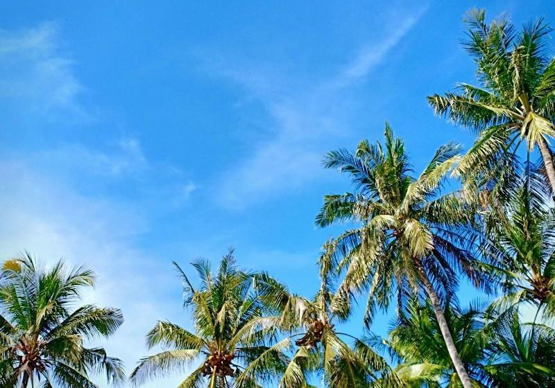 Fotos del hotel Scuba Seraya:  6