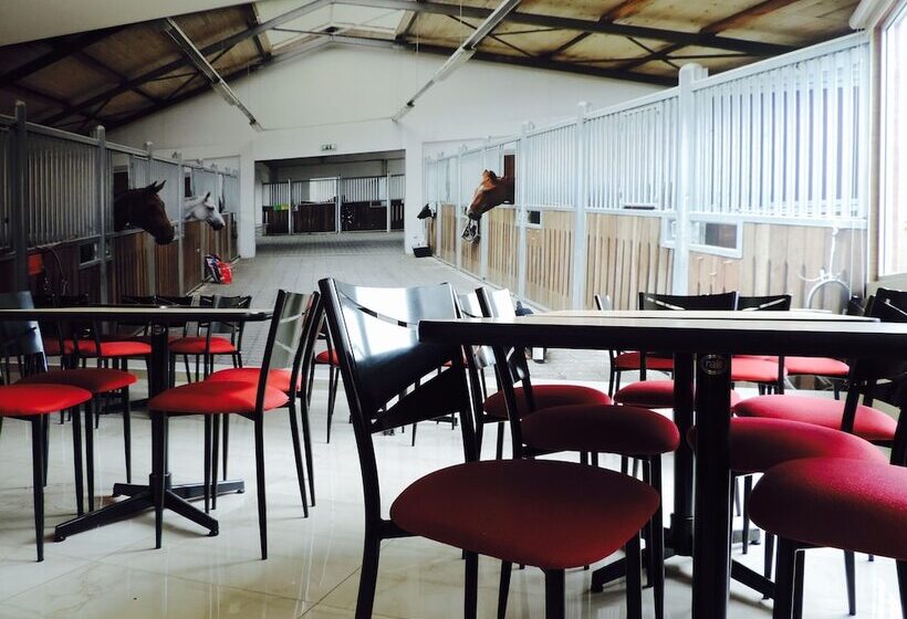 Fotos del hotel Xcoco Inn:  6