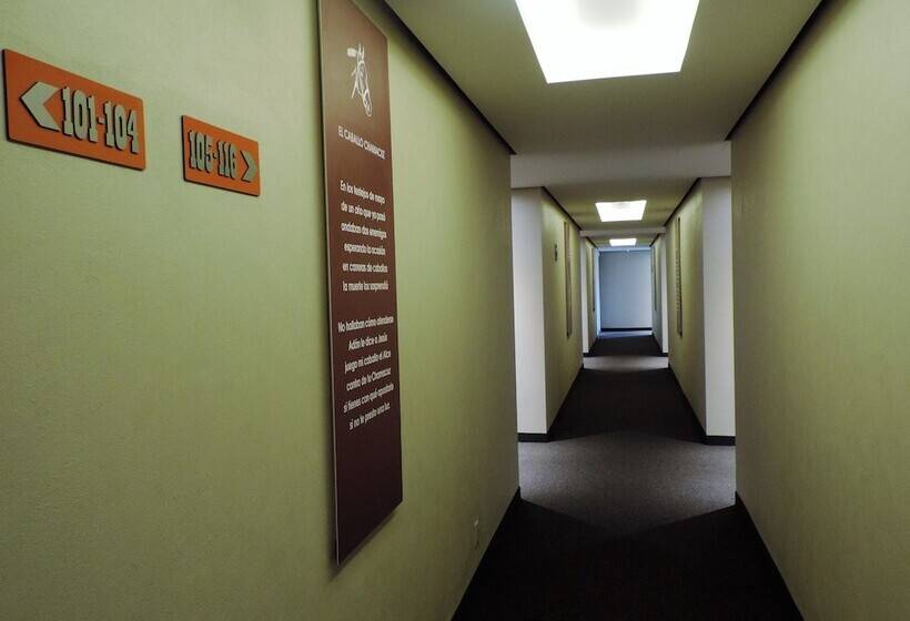 Fotos del hotel Xcoco Inn:  3