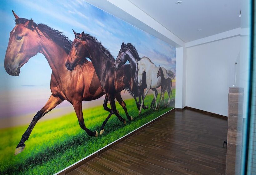 Fotos del hotel Xcoco Inn:  12