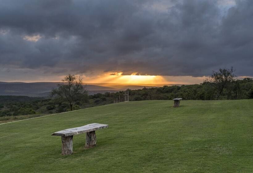 Fotos del hotel Mantis Founders Lodge:  7