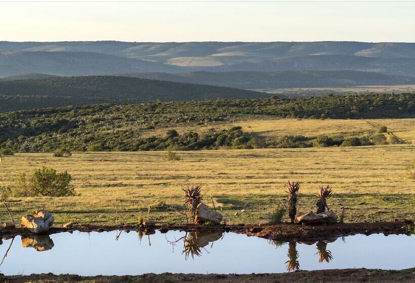 Fotos del hotel Mantis Founders Lodge:  15