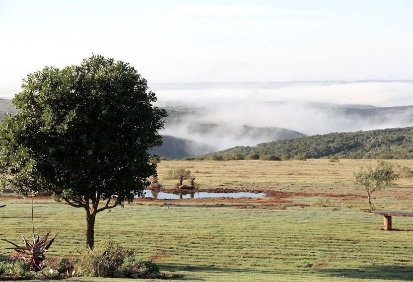 Fotos del hotel Mantis Founders Lodge:  11