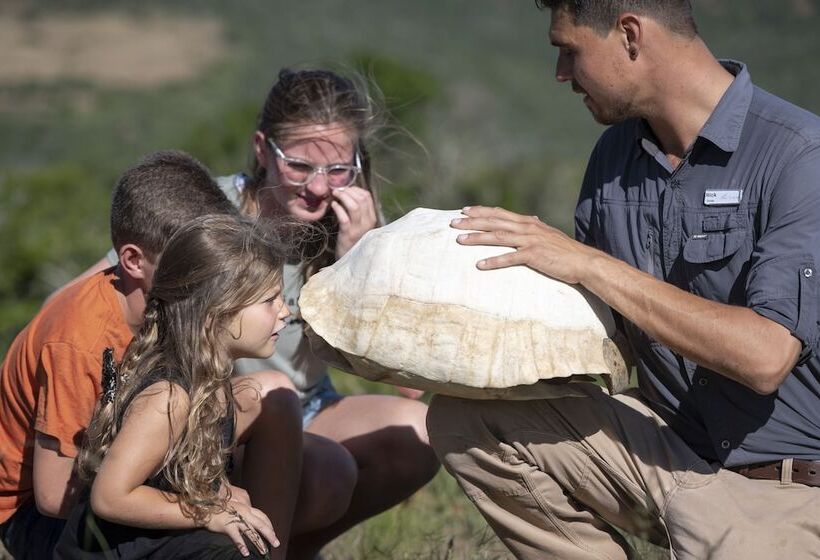 Fotos del hotel Mantis Founders Lodge:  14