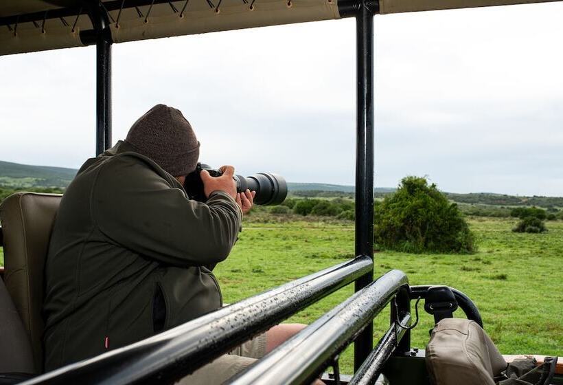 Fotos del hotel Mantis Founders Lodge:  19