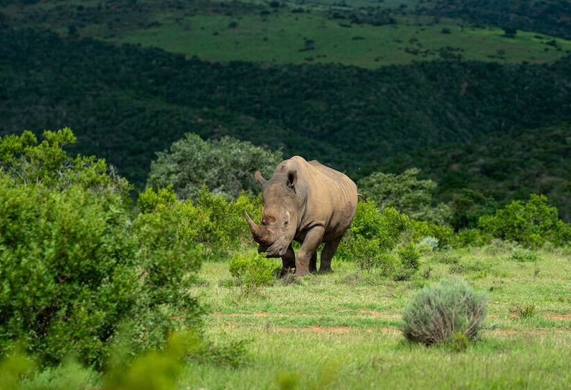 Fotos del hotel Mantis Founders Lodge:  23