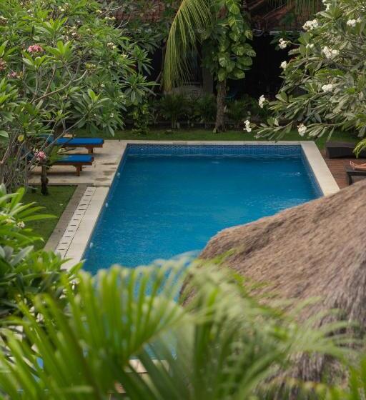 Fotos del hotel Easy Surf Camp:  6