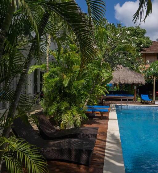 Fotos del hotel Easy Surf Camp:  12