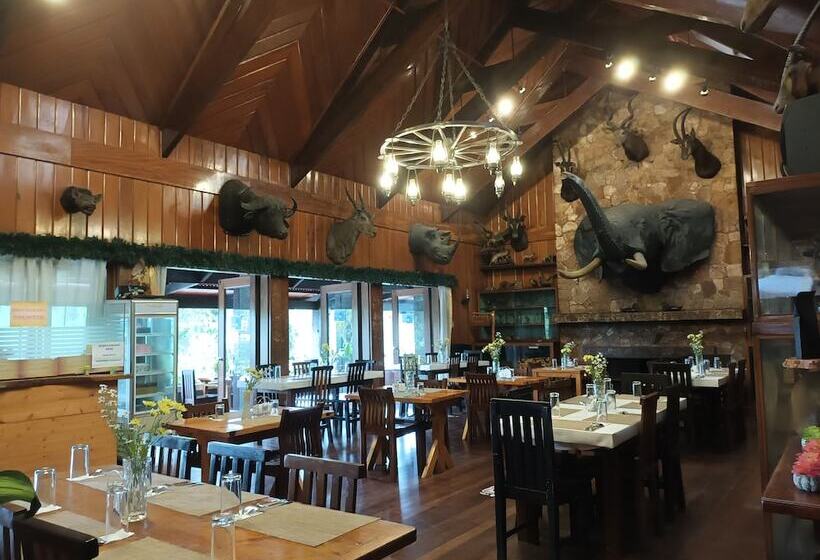 Safari Lodge Baguio By Log Cabin