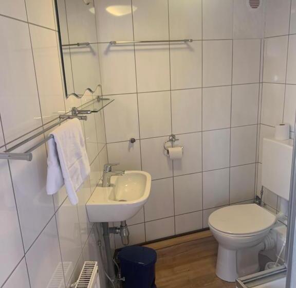 Fotos del hotel Pension Abendruh:  13