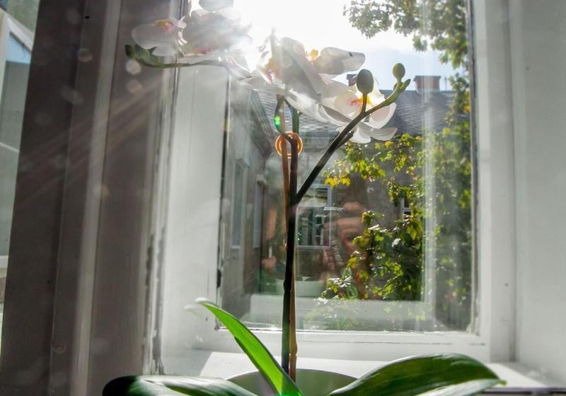 Fotos del hotel Zagreb City Vibe Apartments & Rooms:  11