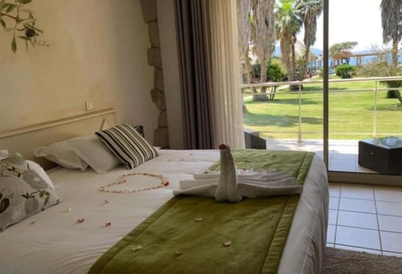 Fotos del hotel Hôtel Ruesco:  12