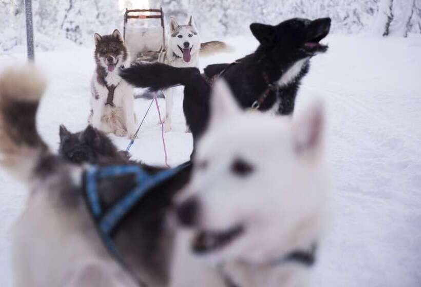 Fotos del hotel Saariselkä Inn Majatalo Panimo:  7