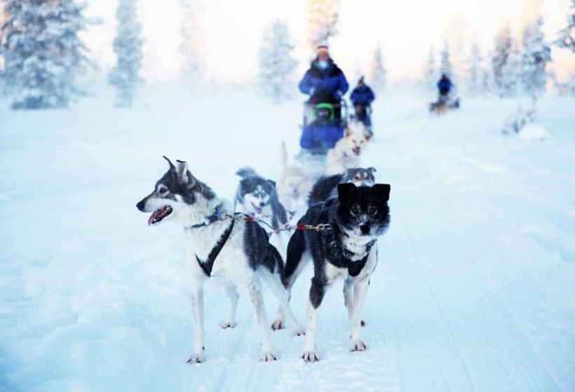Fotos del hotel Saariselkä Inn Majatalo Panimo:  13