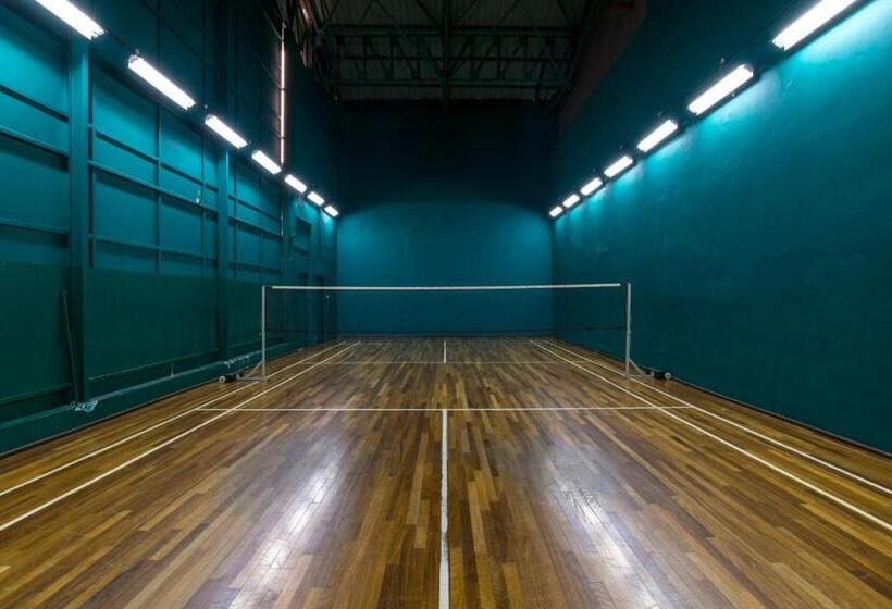 Fotos del hotel Ima House:  4