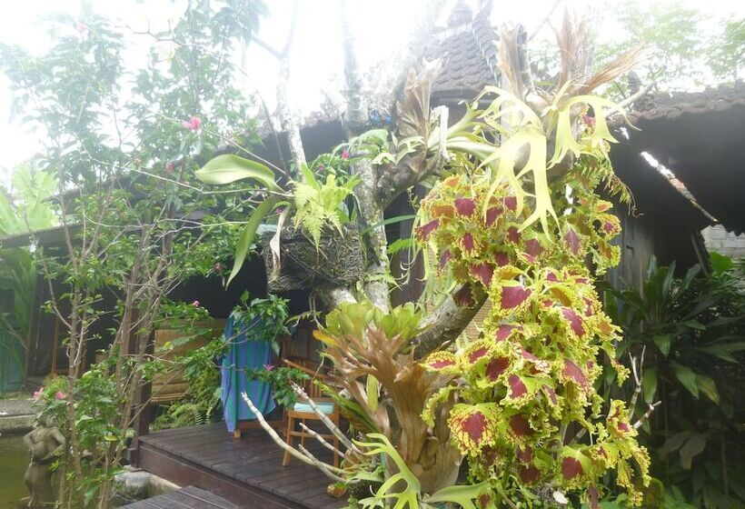 Fotos del hotel Joglo Taman Sari Villa:  10