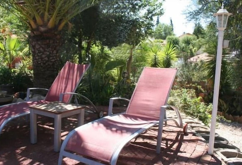 Fotos del hotel De Vagebond Pension:  10