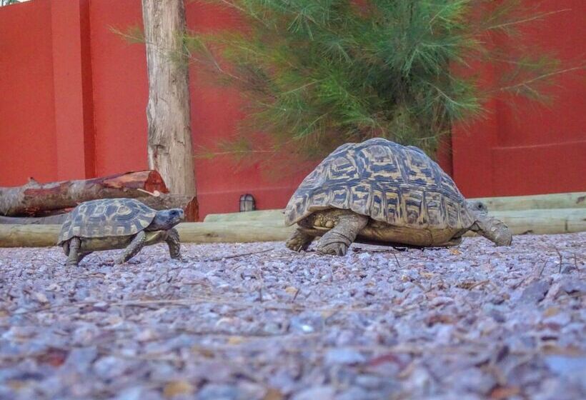 Fotos del hotel Liv Inn Guest House:  8