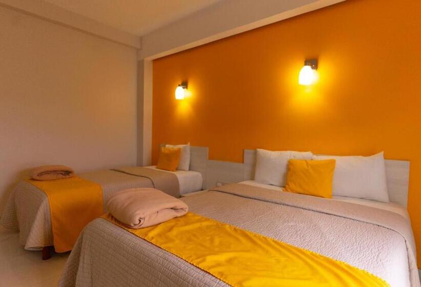 Fotos del hotel Sc:  19