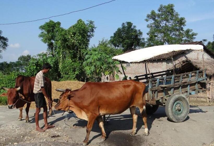 Tharu 20for7 Holiday House