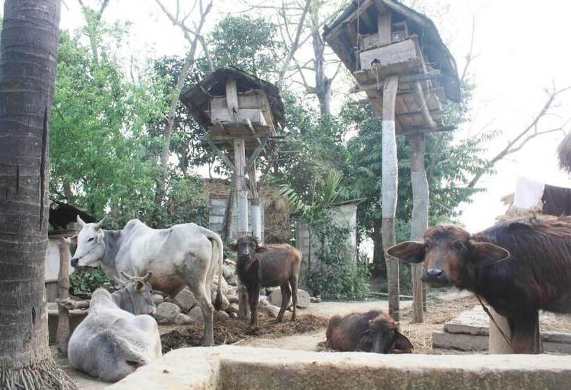 Fotos del hotel Tharu 20for7 Holiday House:  4