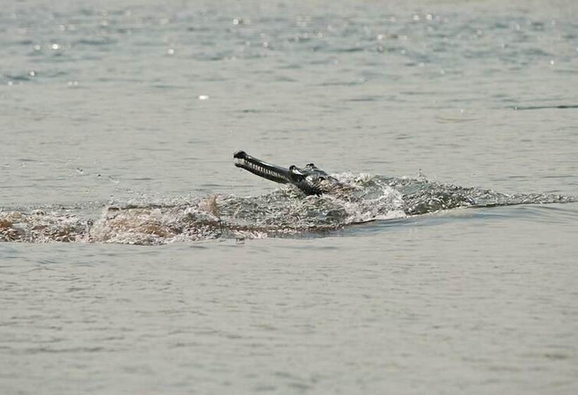 Fotos del hotel Tharu 20for7 Holiday House:  11