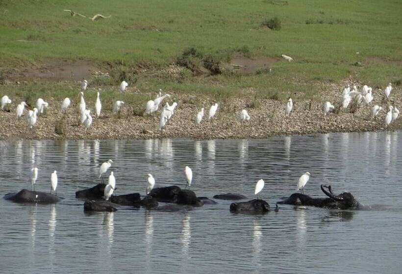 Fotos del hotel Tharu 20for7 Holiday House:  12