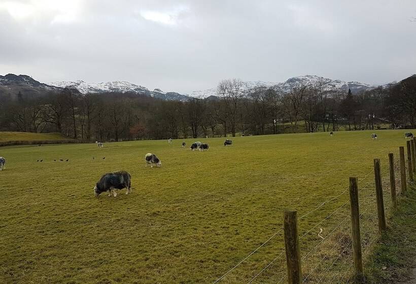 Fotos del hotel Archway Guest House:  23