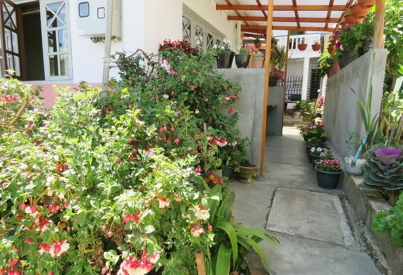 Fotos del hotel Carnation Rest:  13