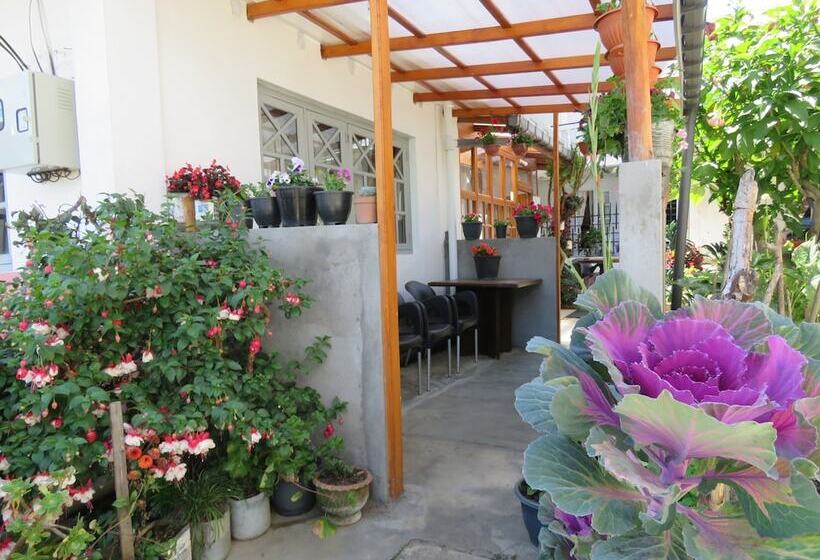 Fotos del hotel Carnation Rest:  6