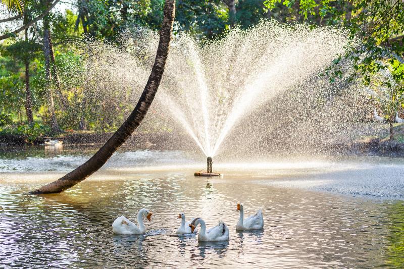 Fotos del hotel Fisherman Way Beach Villa:  23