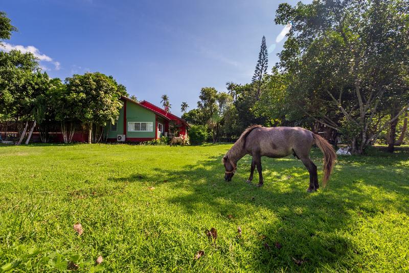 Fotos del hotel Fisherman Way Beach Villa:  10