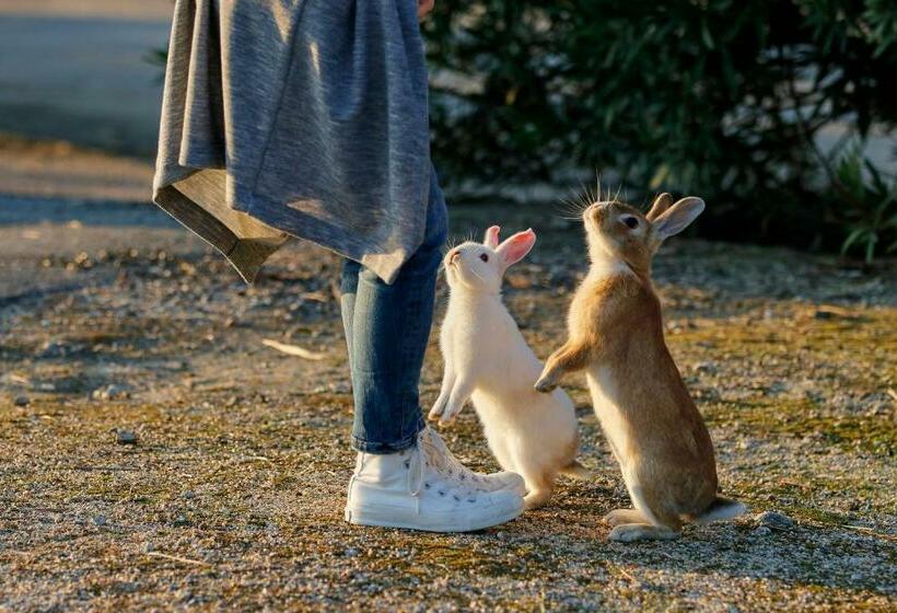 Fotos del hotel Kyukamura Ohkunoshima:  7