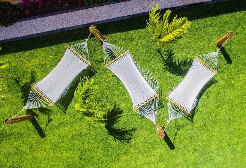 Fotos del hotel Palacio Maya:  20