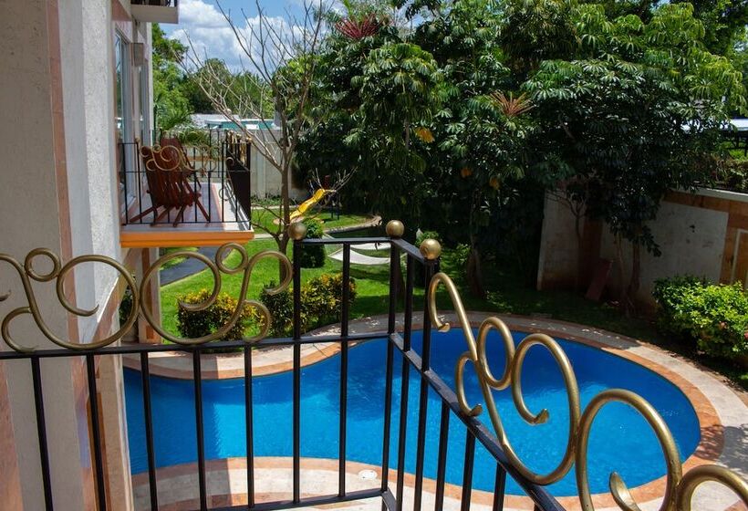 Fotos del hotel Palacio Maya:  2